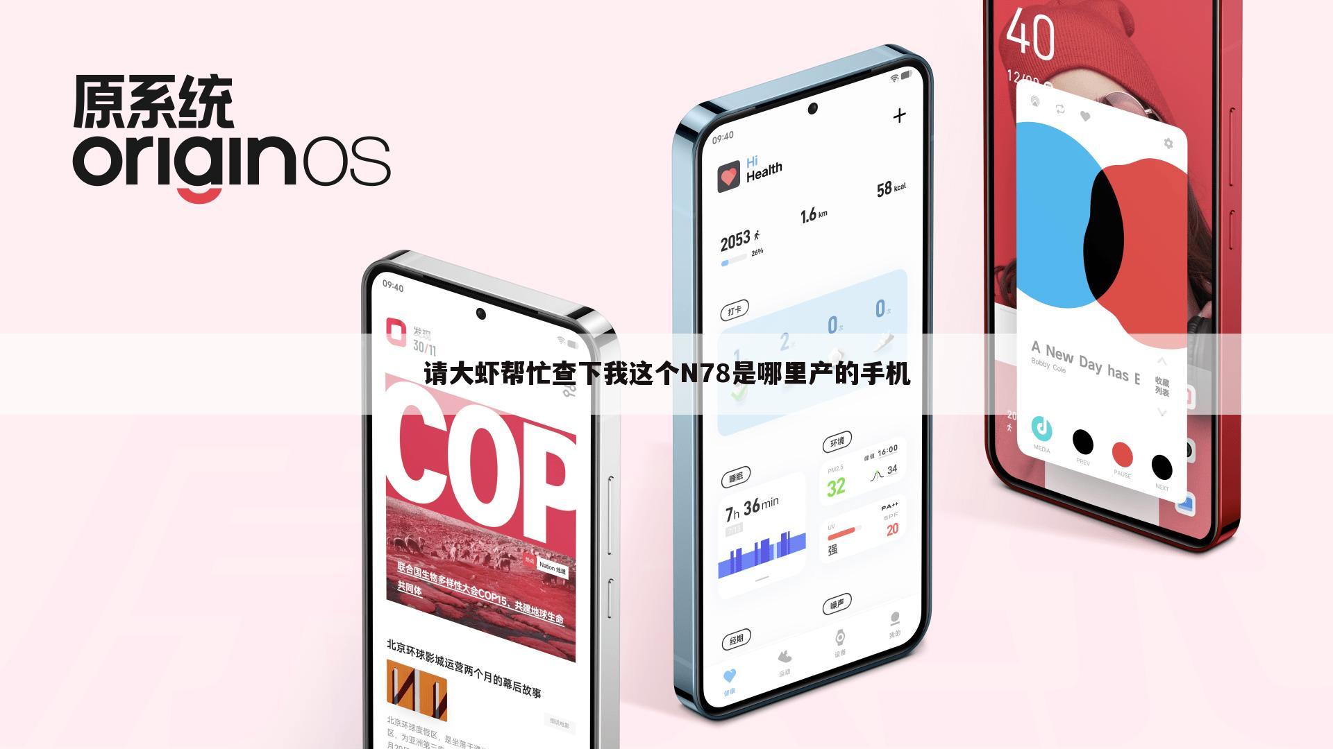 请大虾帮忙查下我这个N78是哪里产的手机