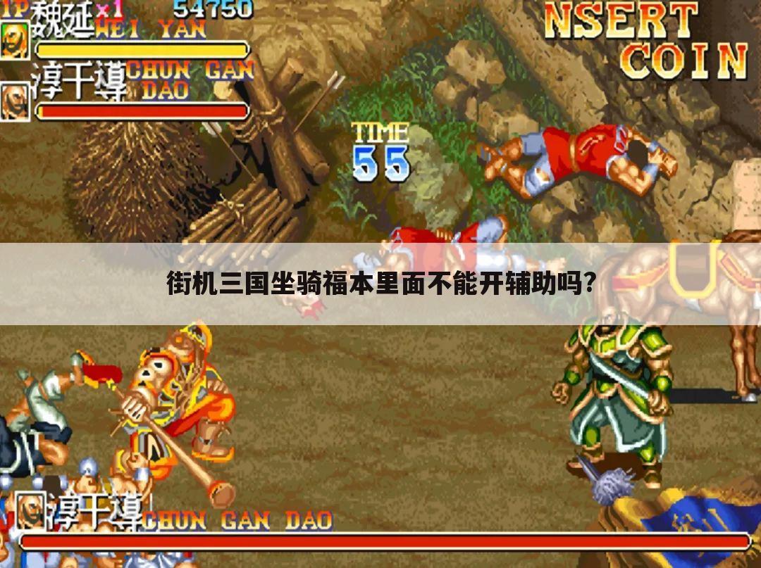 街机三国坐骑福本里面不能开辅助吗?