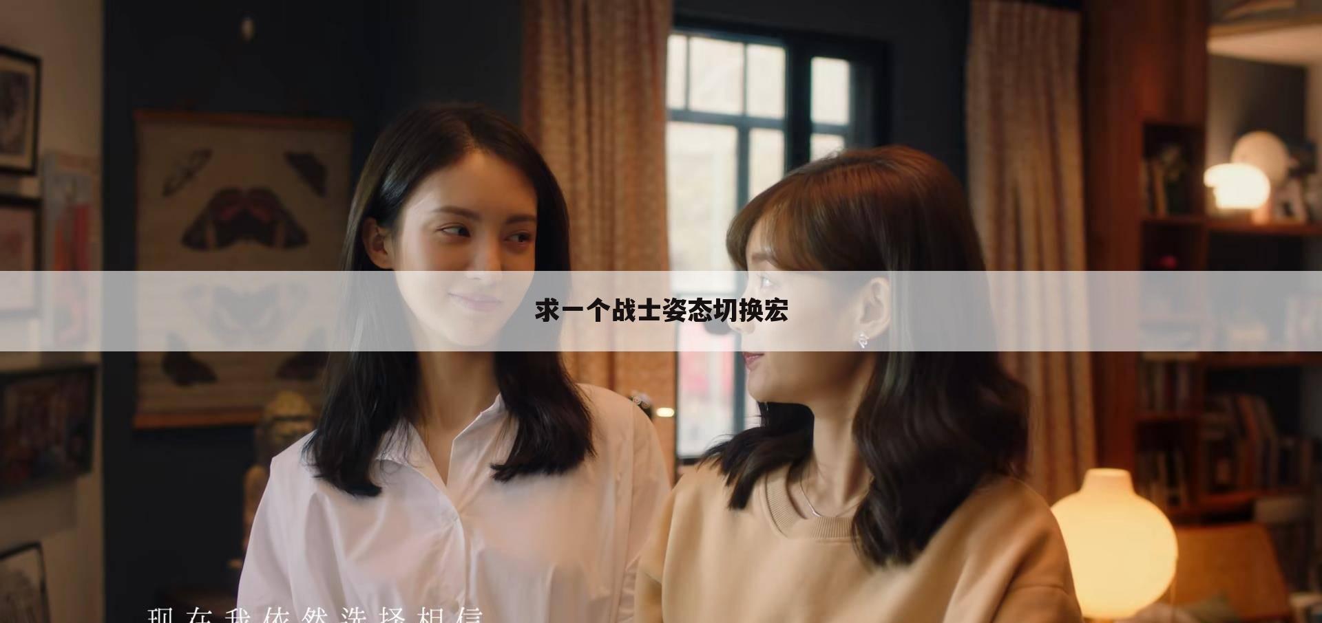 求一个战士姿态切换宏