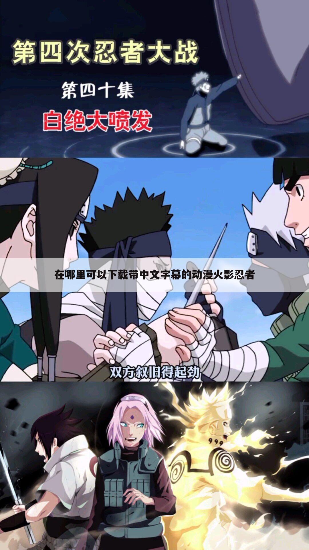 在哪里可以下载带中文字幕的动漫火影忍者
