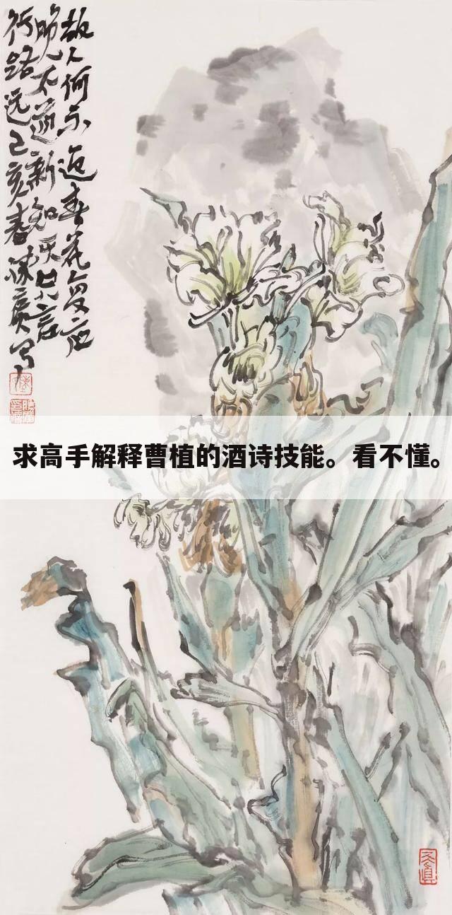 求高手解释曹植的酒诗技能。看不懂。