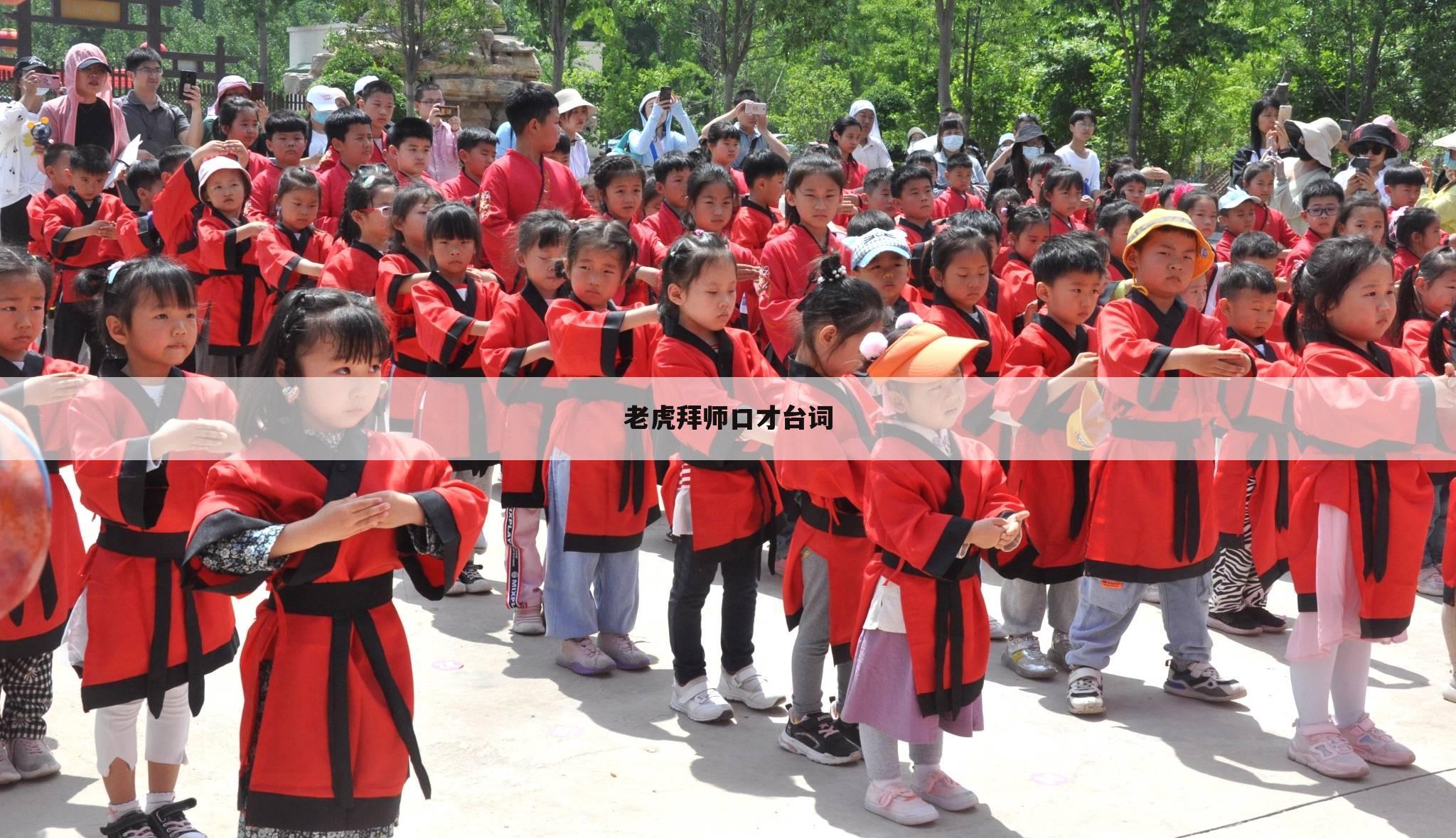 老虎拜师口才台词