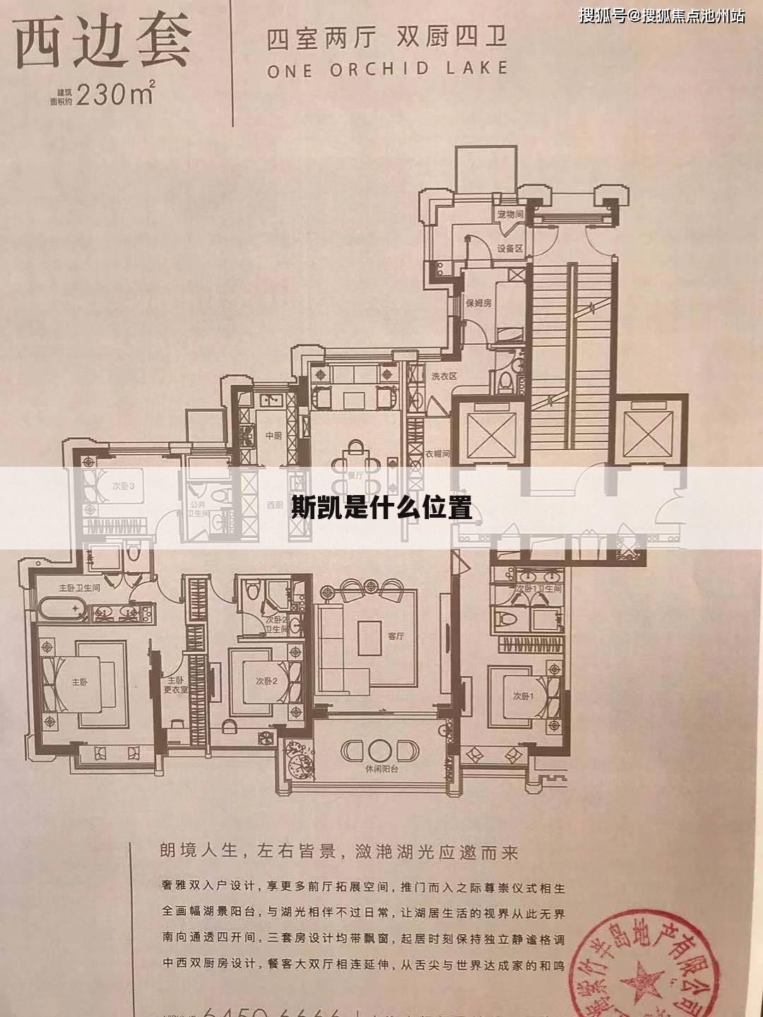 斯凯是什么位置