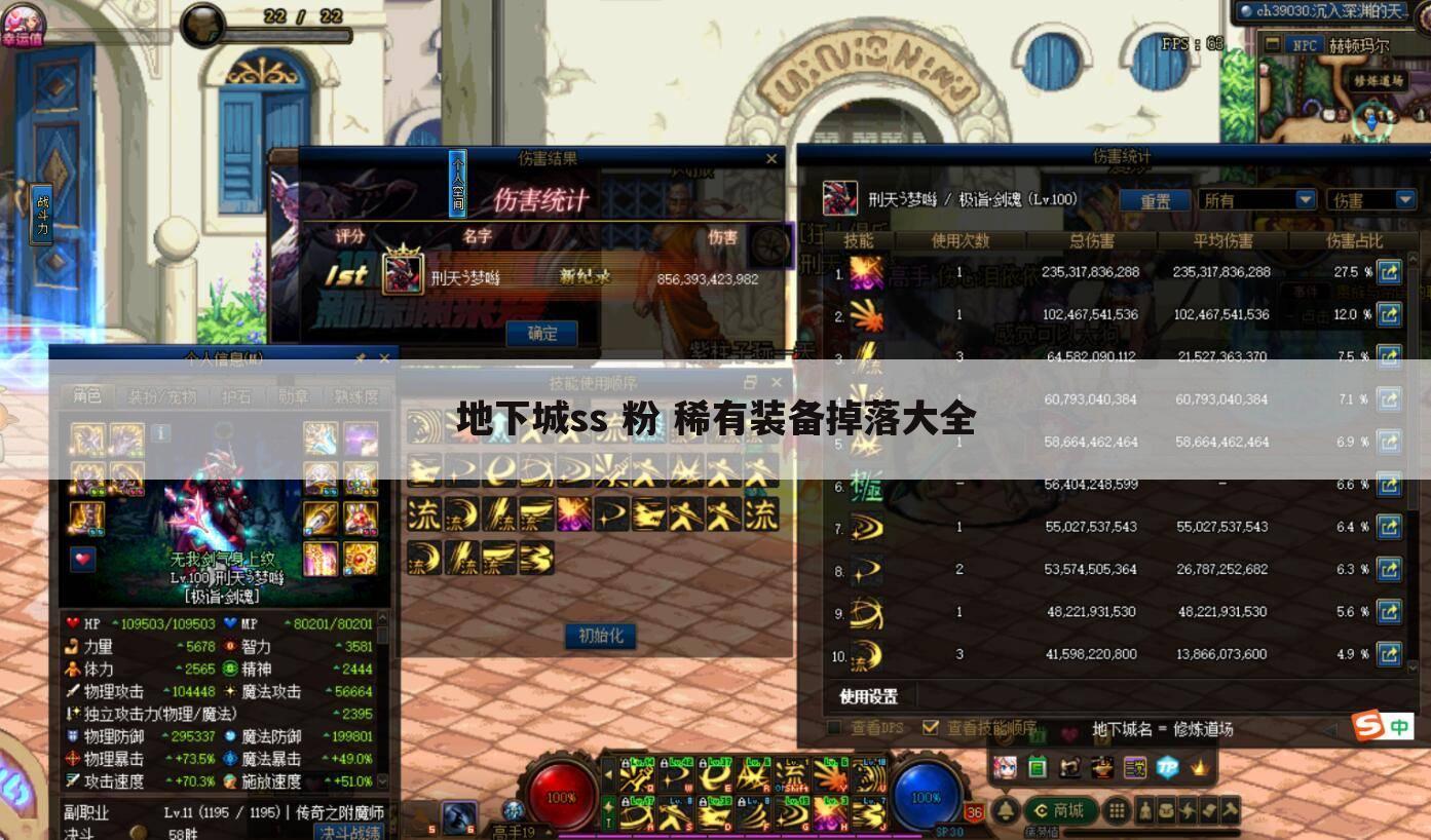 地下城ss 粉 稀有装备掉落大全