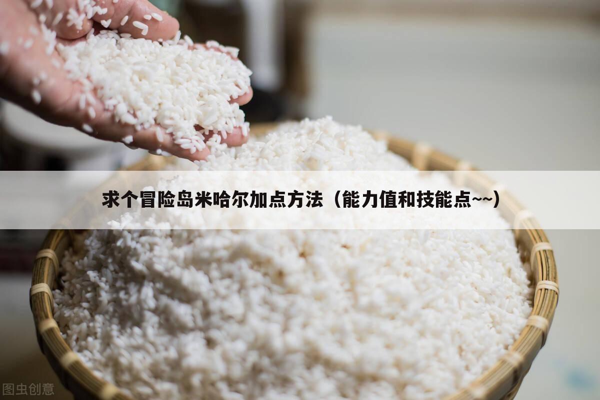 求个冒险岛米哈尔加点方法(能力值和技能点~~)
