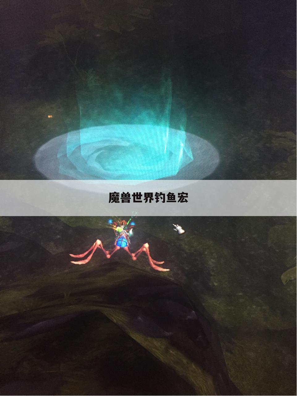 魔兽世界钓鱼宏
