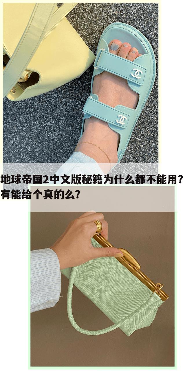 地球帝国2中文版秘籍为什么都不能用?有能给个真的么?