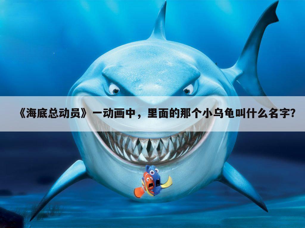 《海底总动员》一动画中,里面的那个小乌龟叫什么名字?