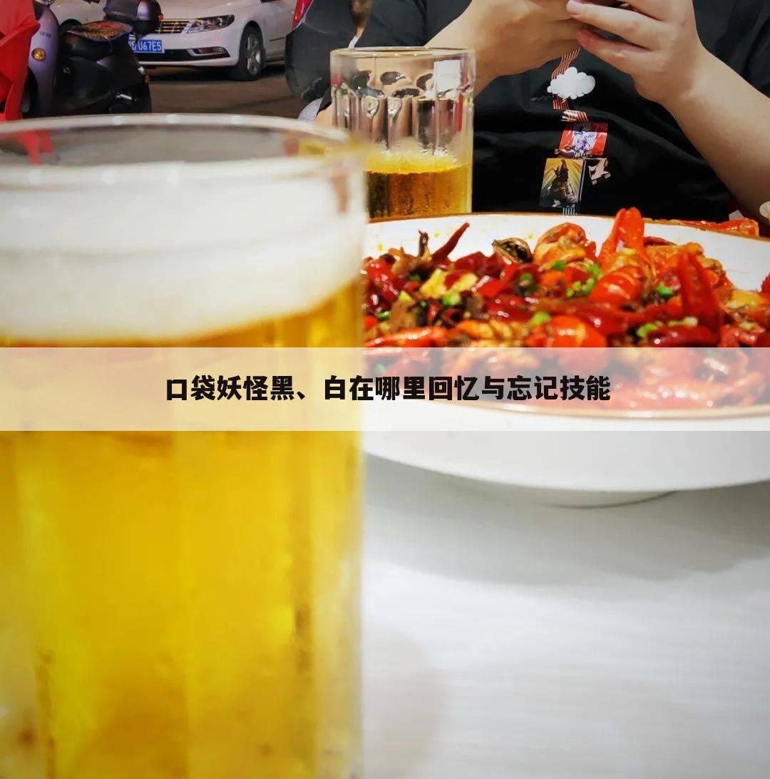 口袋妖怪黑、白在哪里回忆与忘记技能