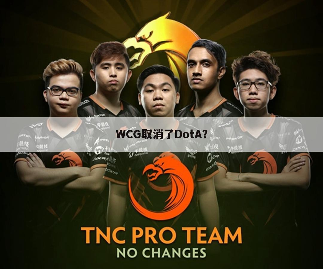 WCG取消了DotA?