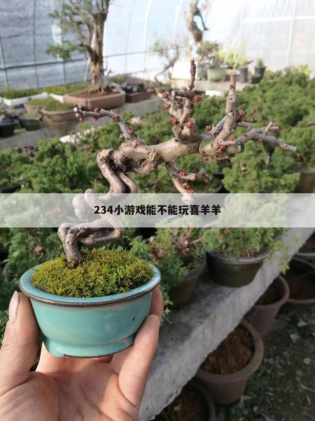 234小游戏能不能玩喜羊羊