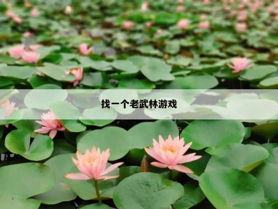 找一个老武林游戏