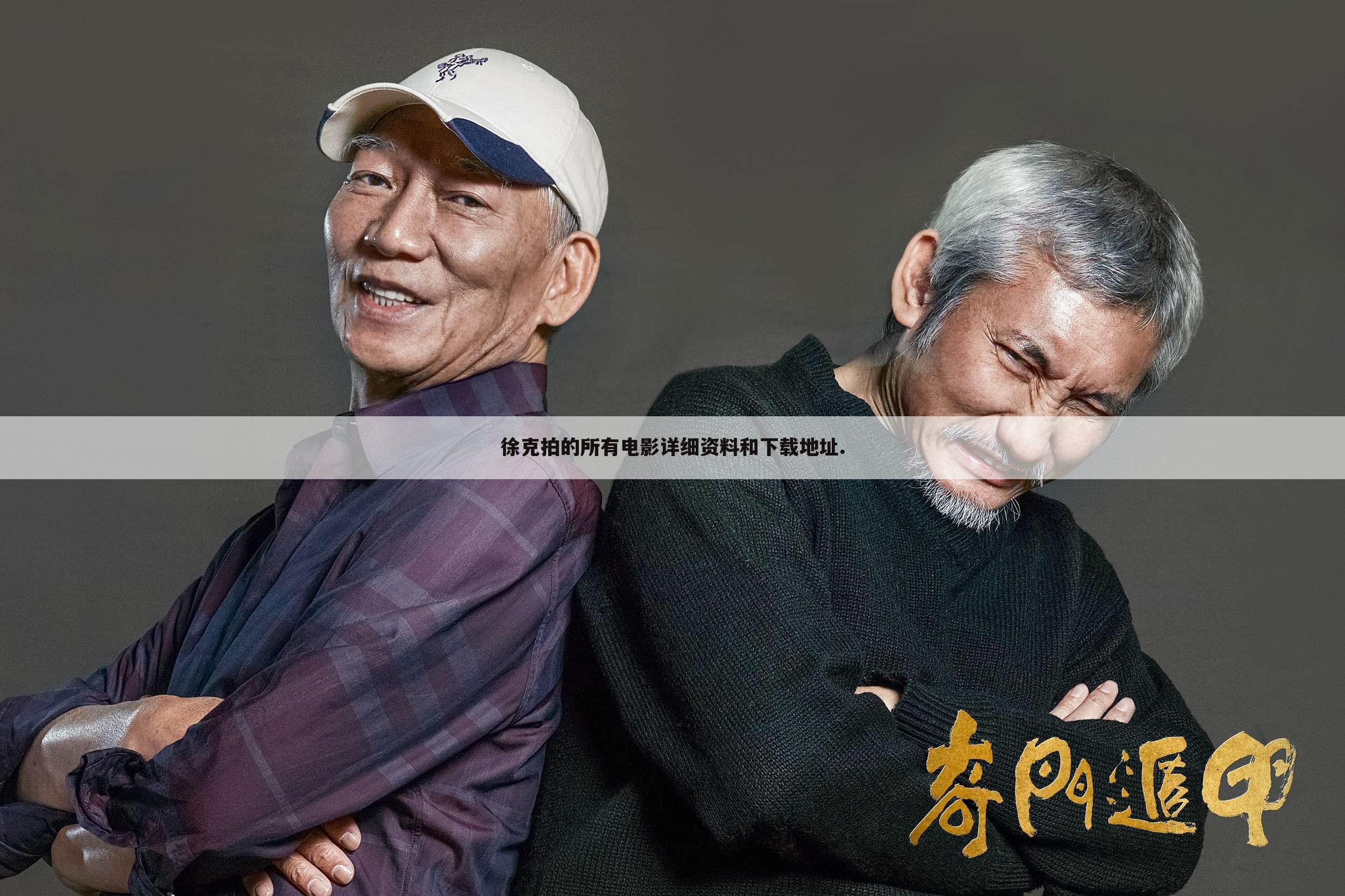 徐克拍的所有电影详细资料和下载地址.