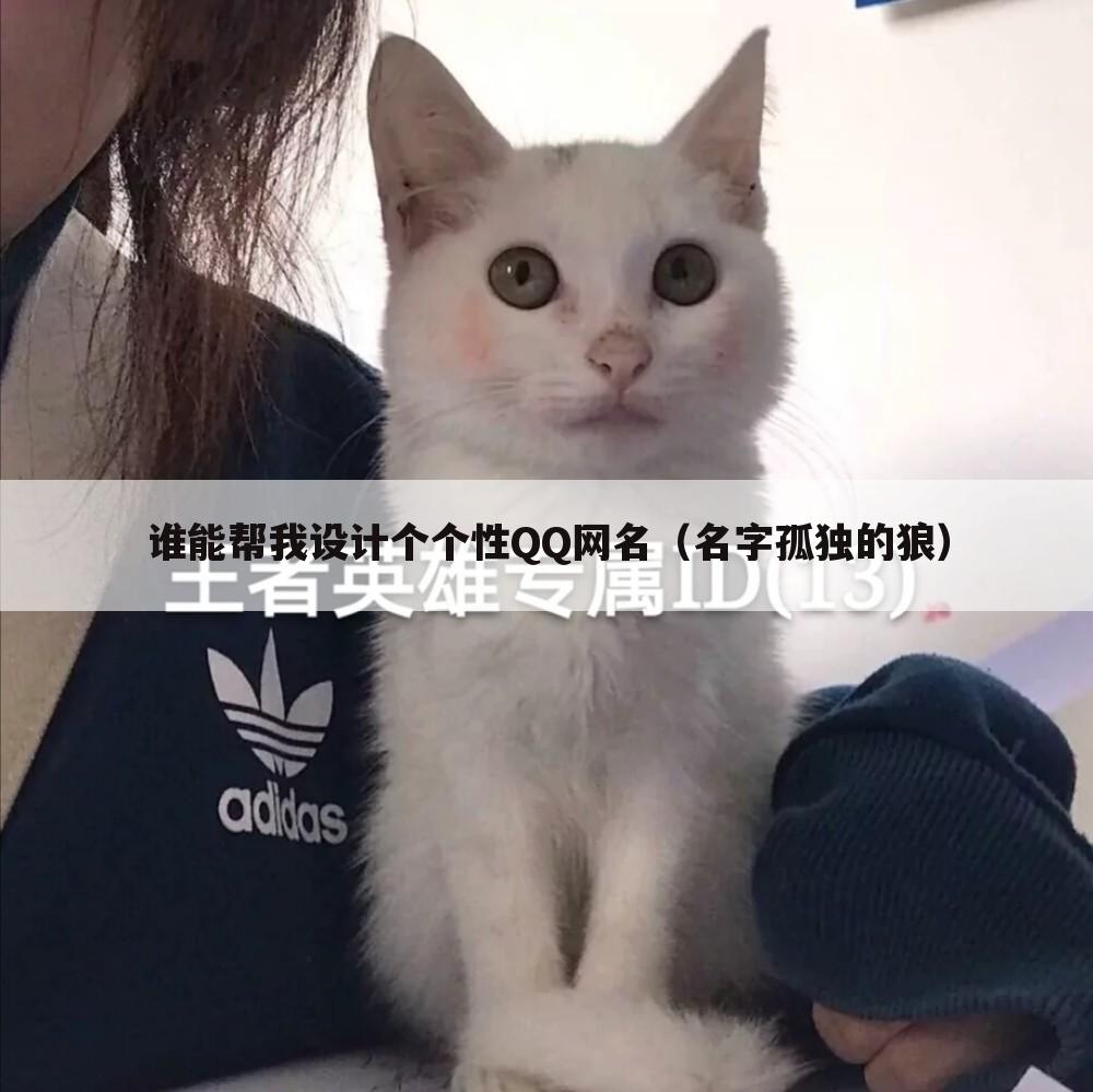 谁能帮我设计个个性QQ网名（名字孤独的狼）
