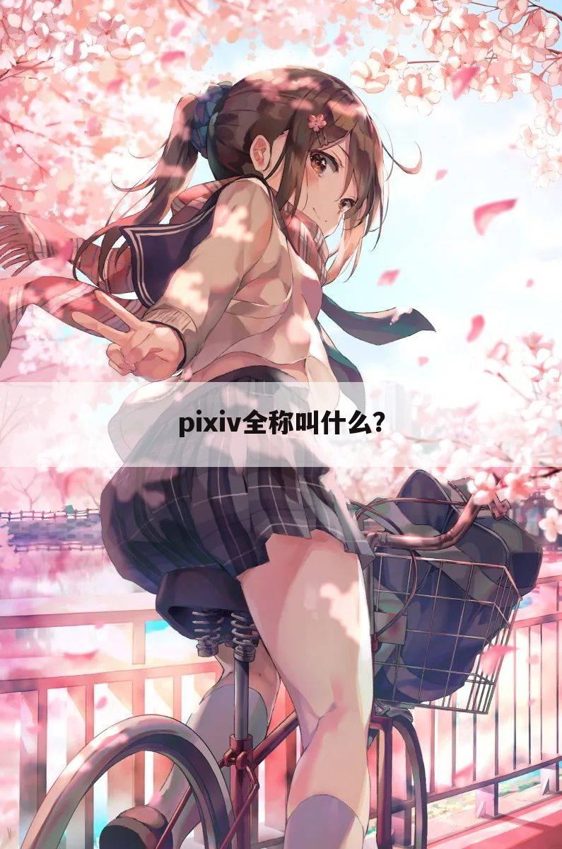 pixiv全称叫什么？