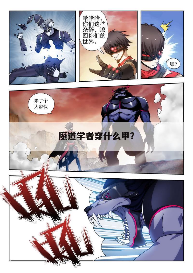 魔道学者穿什么甲?