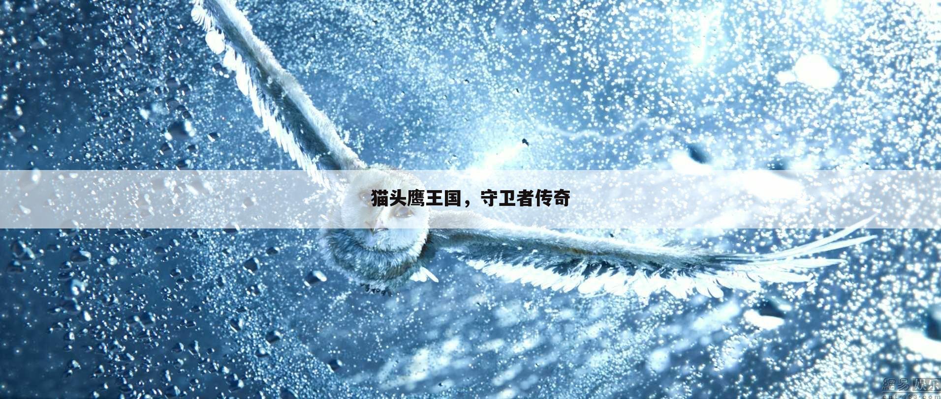 猫头鹰王国,守卫者传奇