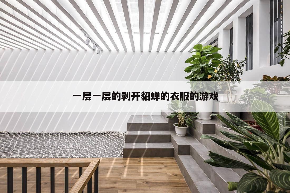一层一层的剥开貂蝉的衣服的游戏