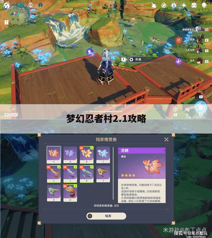 梦幻忍者村2.1攻略