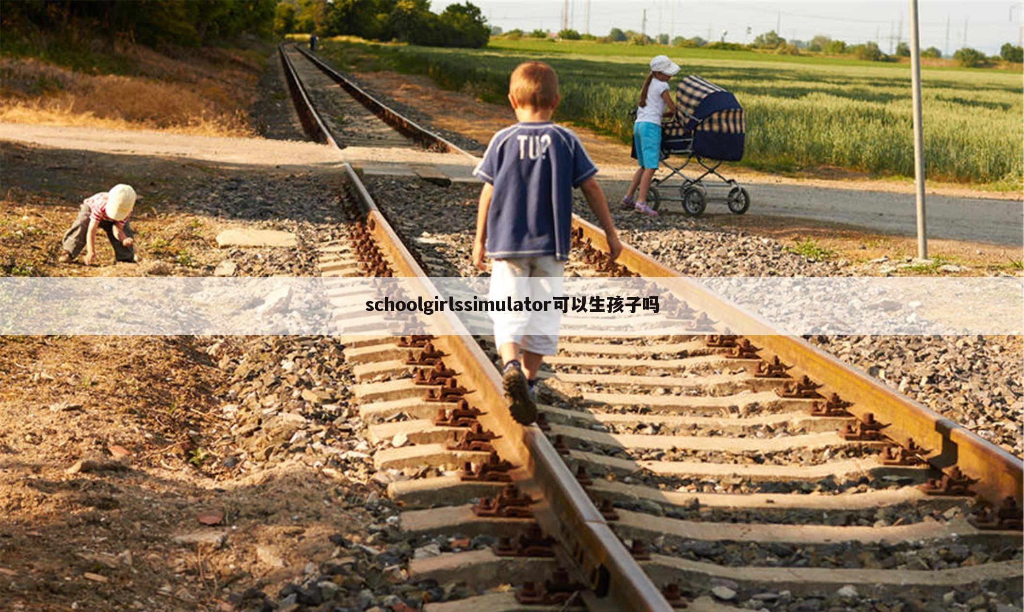 schoolgirlssimulator可以生孩子吗