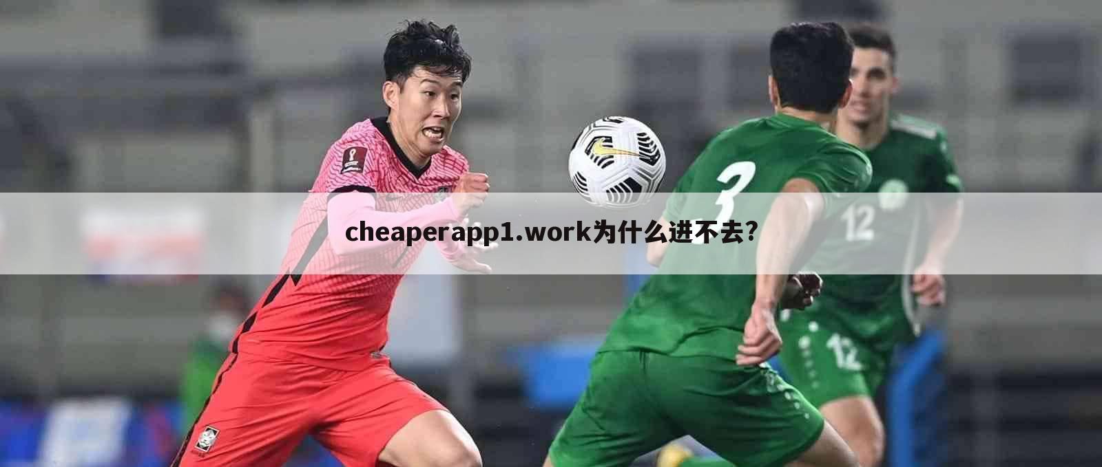 cheaperapp1.work为什么进不去?