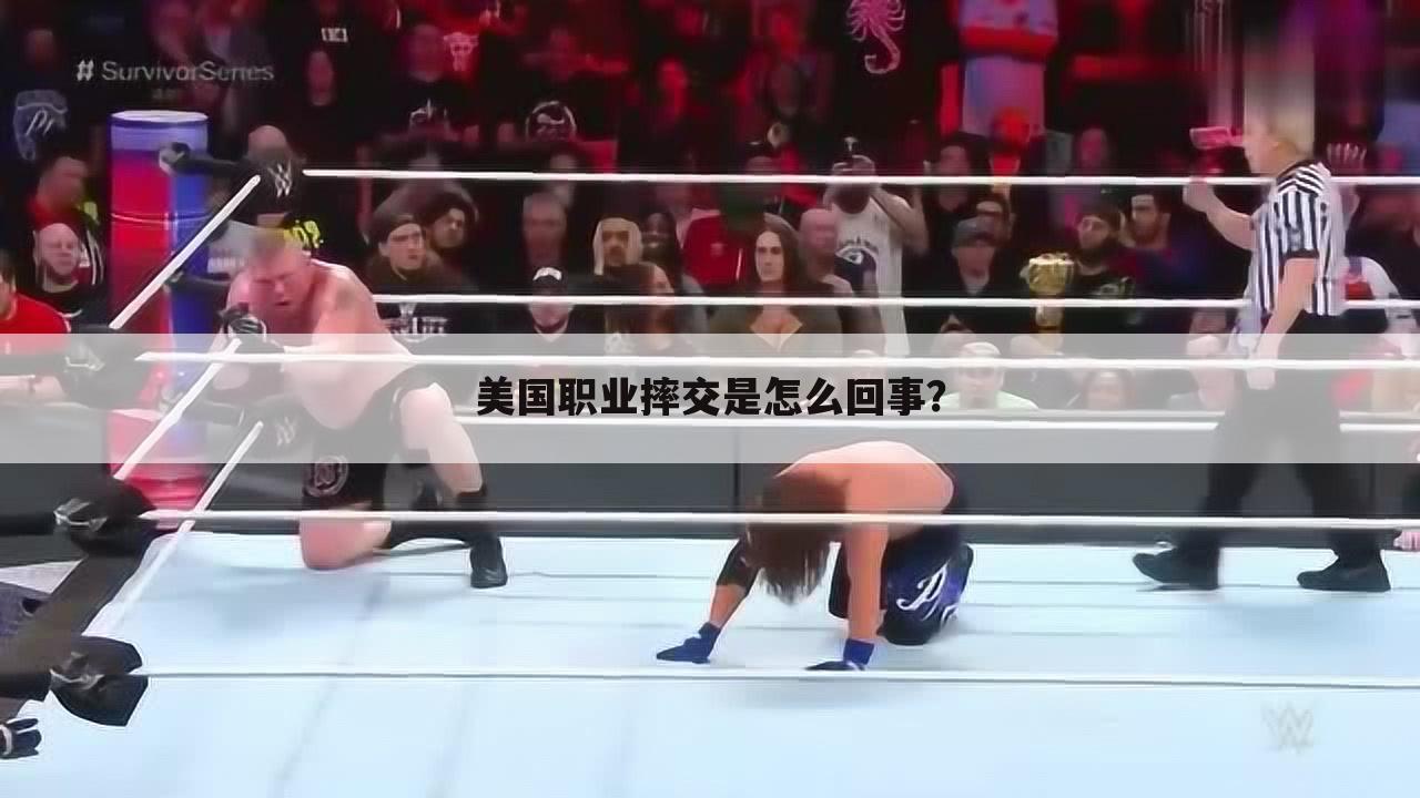 美国职业摔交是怎么回事？