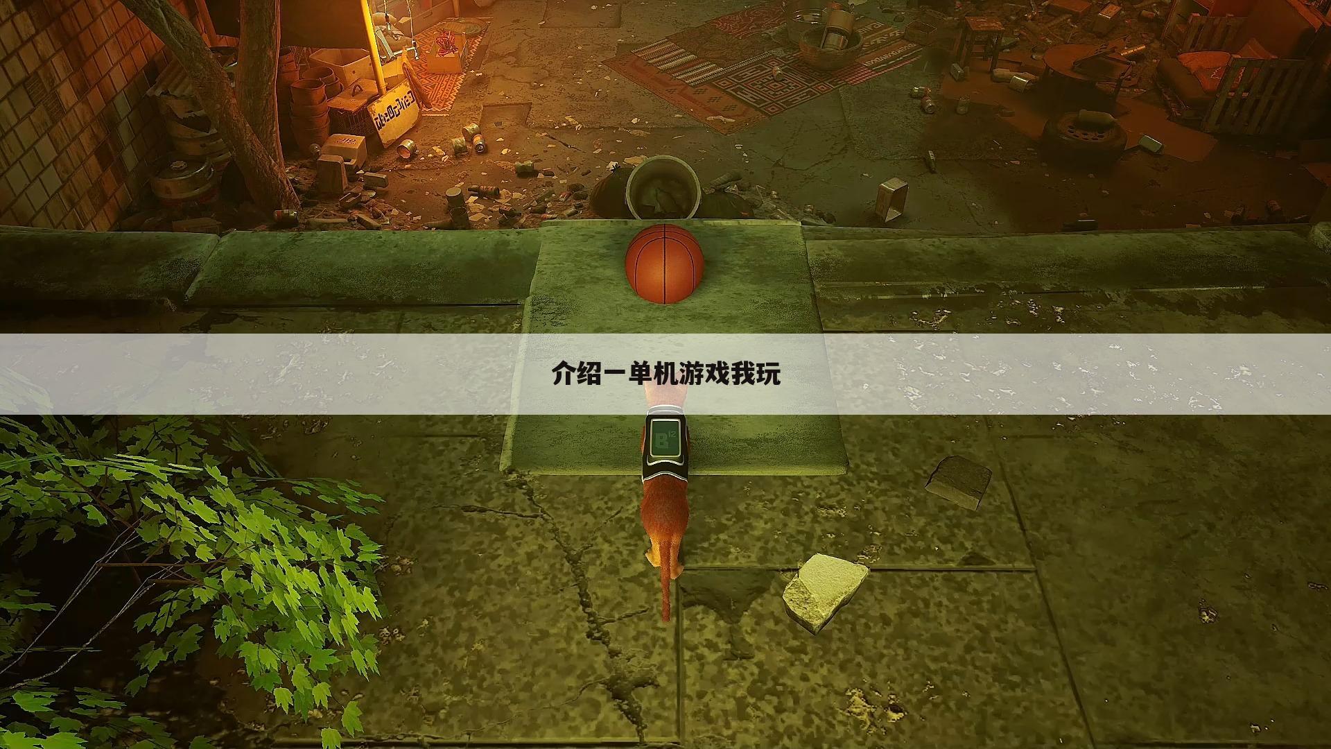 介绍一单机游戏我玩