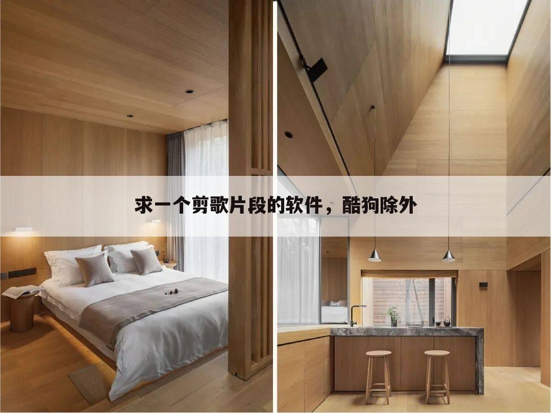 求一个剪歌片段的软件，酷狗除外