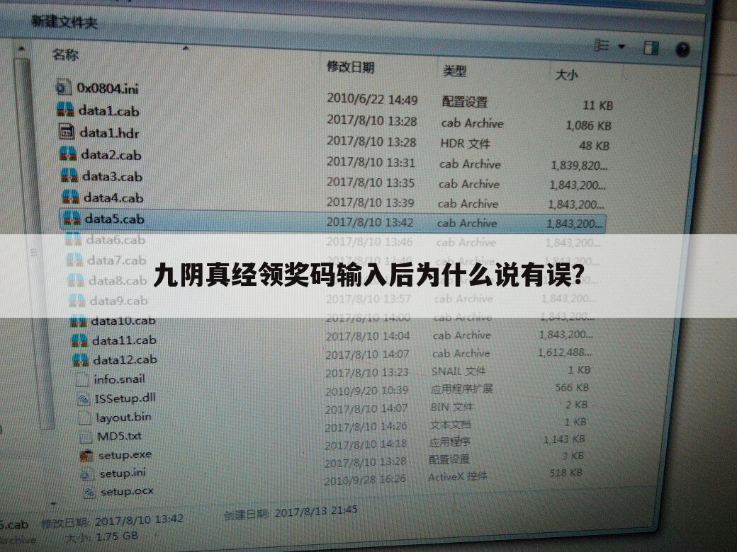 九阴真经领奖码输入后为什么说有误?