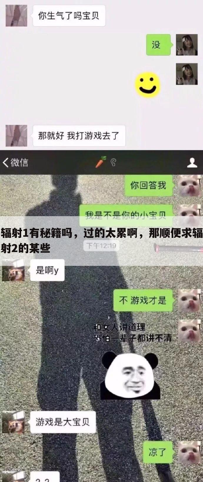 辐射1有秘籍吗,过的太累啊,那顺便求辐射2的某些