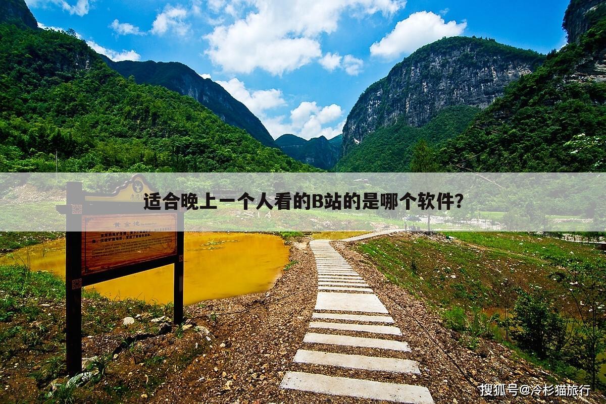 适合晚上一个人看的B站的是哪个软件？