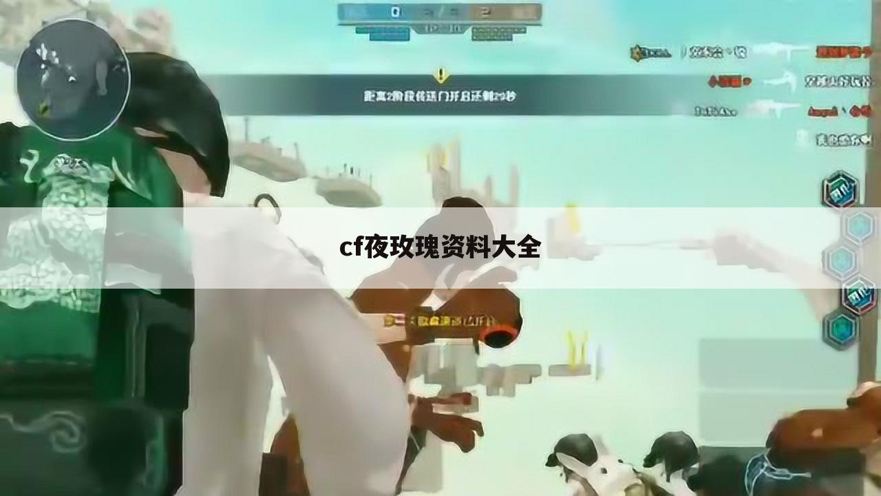 cf夜玫瑰资料大全
