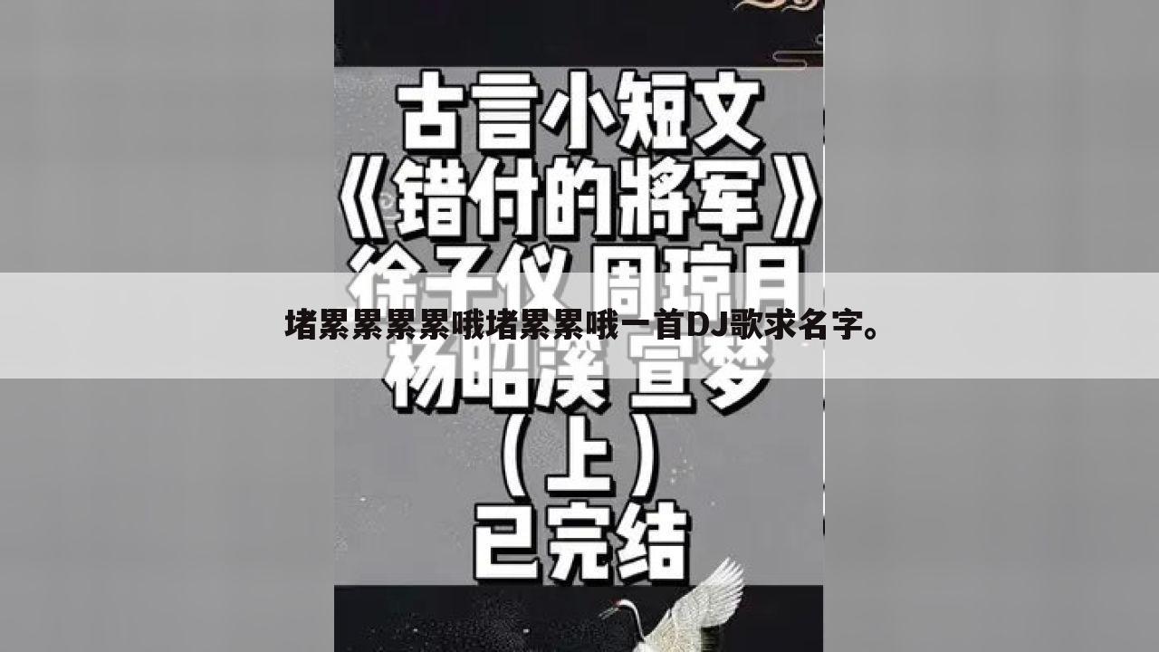 堵累累累累哦堵累累哦一首DJ歌求名字。