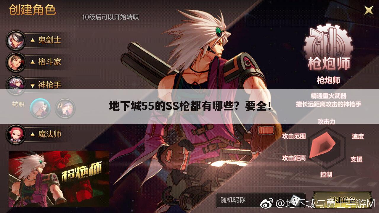 地下城55的SS枪都有哪些?要全!