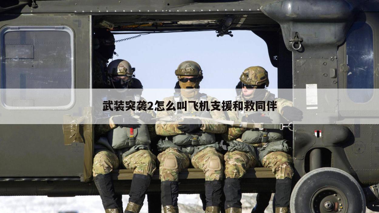 武装突袭2怎么叫飞机支援和救同伴