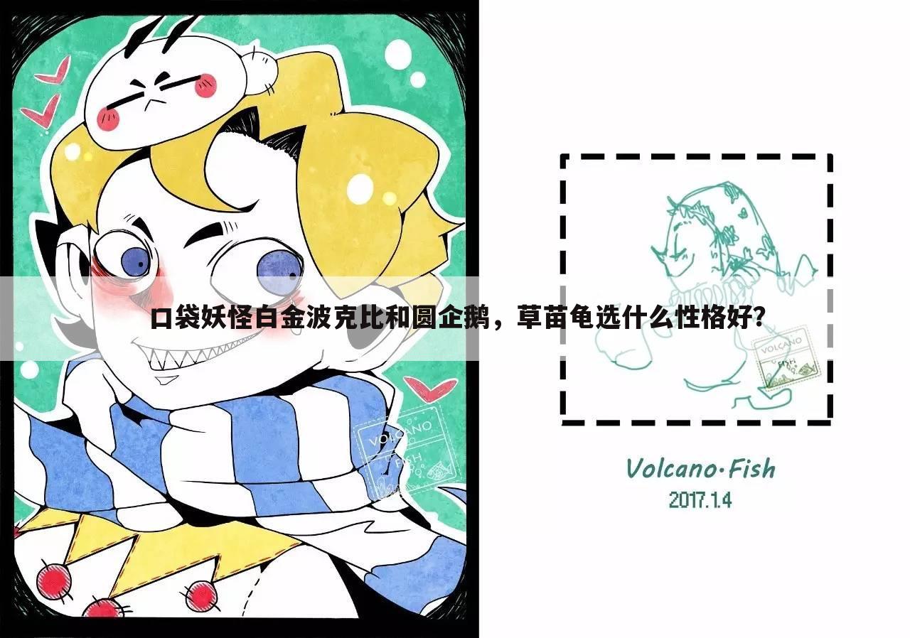 口袋妖怪白金波克比和圆企鹅，草苗龟选什么性格好？