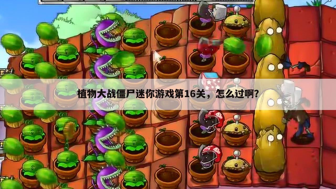 植物大战僵尸迷你游戏第16关,怎么过啊?