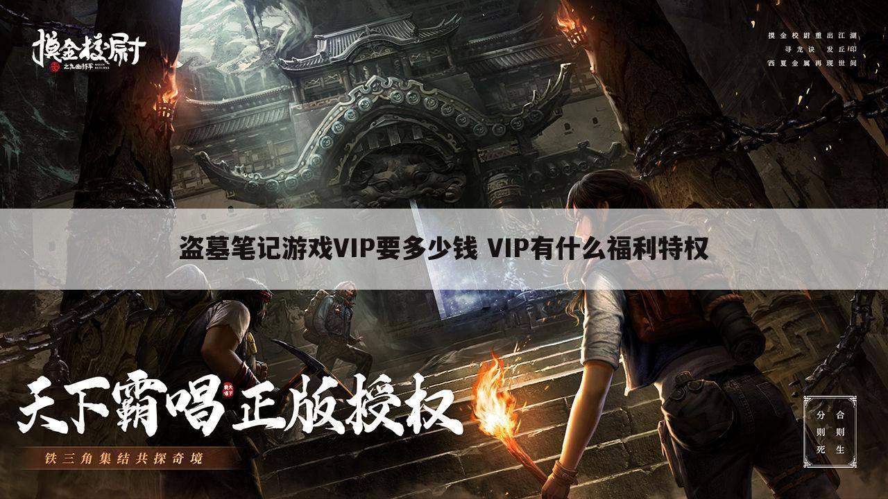 盗墓笔记游戏VIP要多少钱 VIP有什么福利特权