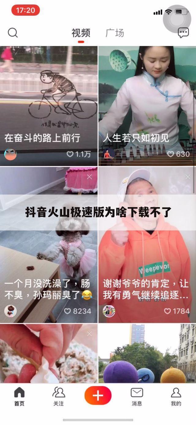 抖音火山极速版为啥下载不了