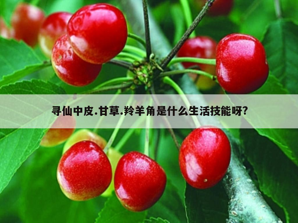 寻仙中皮.甘草.羚羊角是什么生活技能呀?