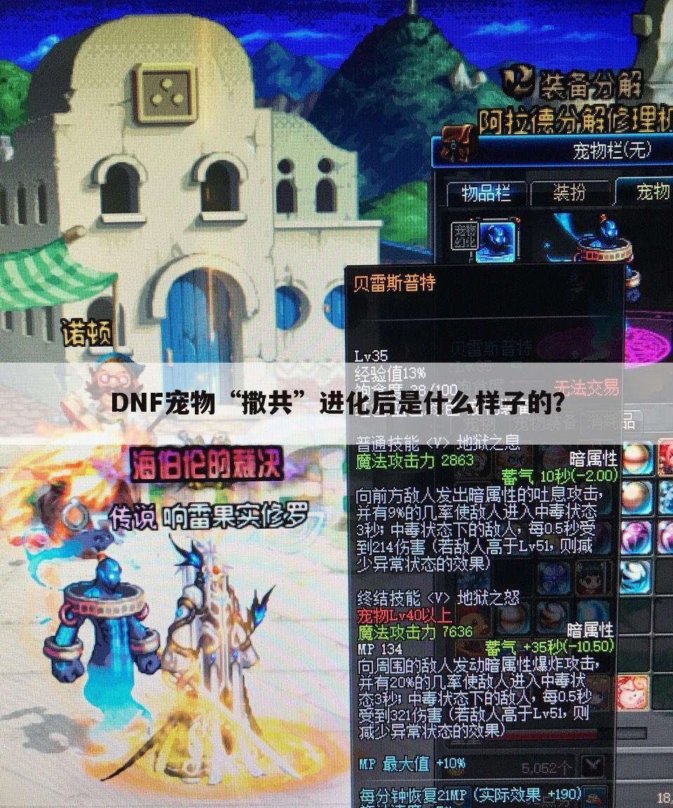 DNF宠物“撒共”进化后是什么样子的?