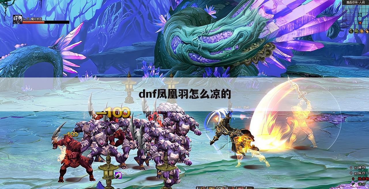 dnf凤凰羽怎么凉的