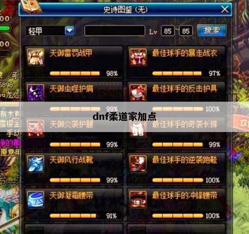 dnf柔道家加点