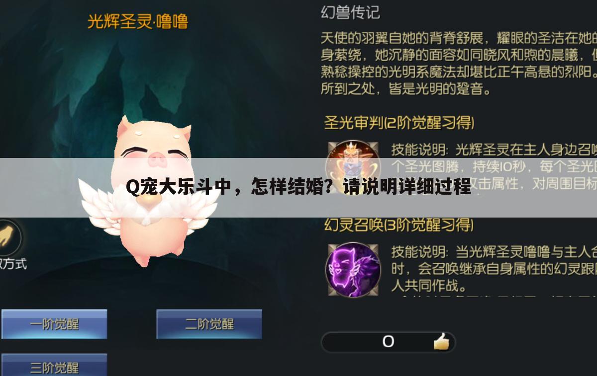 Q宠大乐斗中，怎样结婚？请说明详细过程