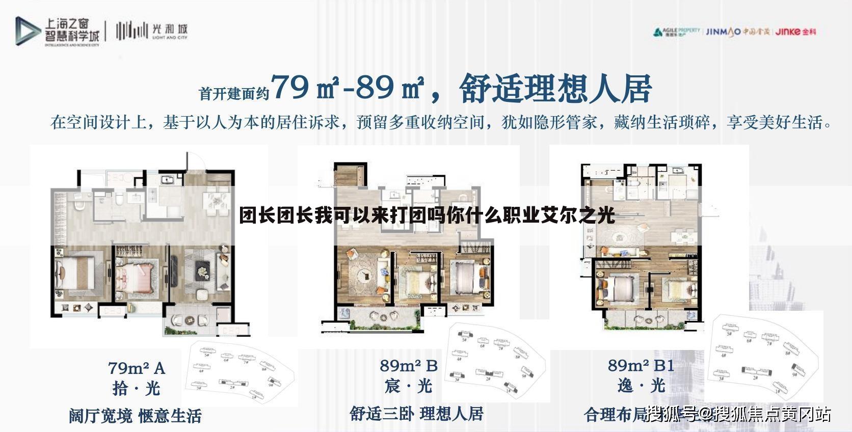 团长团长我可以来打团吗你什么职业艾尔之光