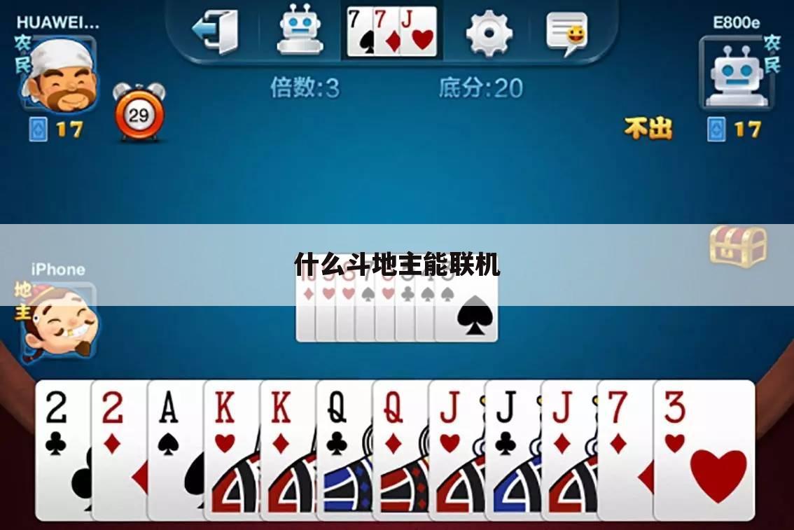 什么斗地主能联机