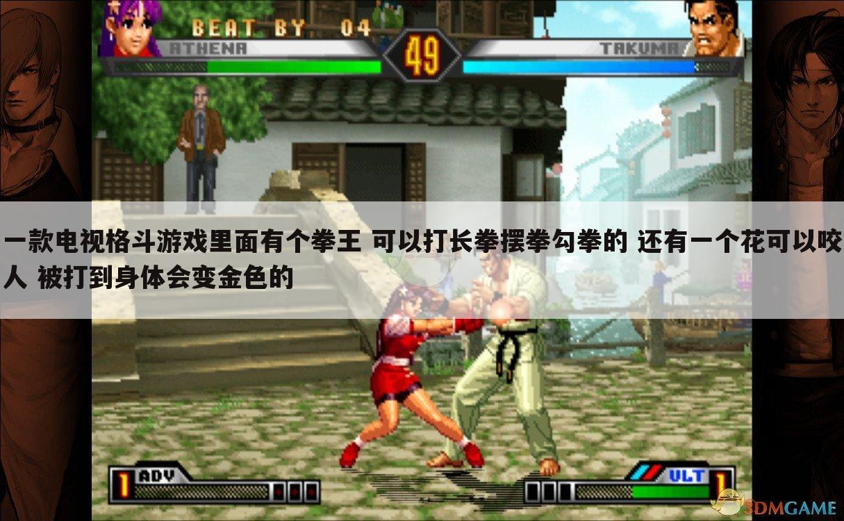 一款电视格斗游戏里面有个拳王 可以打长拳摆拳勾拳的 还有一个花可以咬人 被打到身体会变金色的
