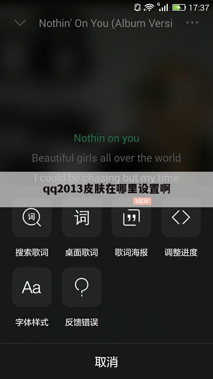 qq2013皮肤在哪里设置啊