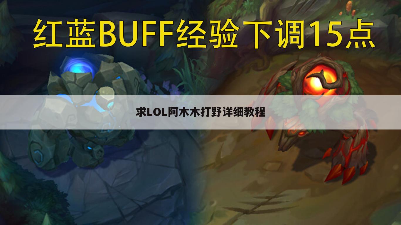 求LOL阿木木打野详细教程