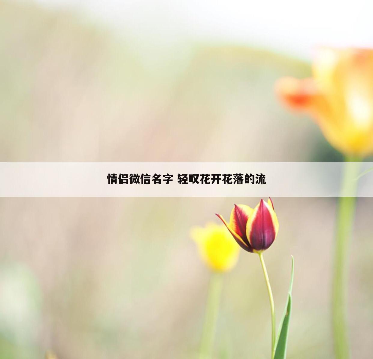 情侣微信名字 轻叹花开花落的流